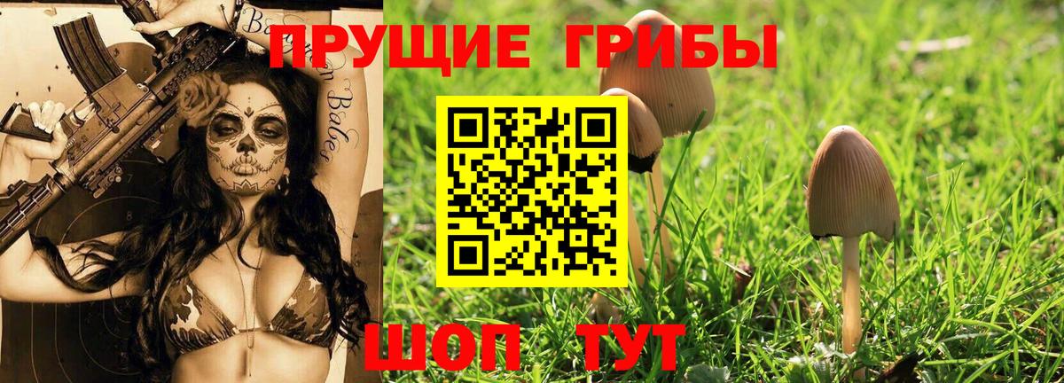 Псилоцибиновые грибы Psilocybine cubensis  Вход с VPN  Арзамас 